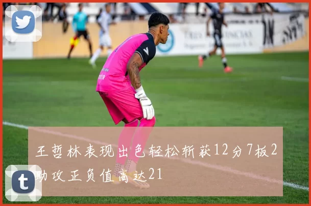 王哲林表现出色轻松斩获12分7板2助攻正负值高达21