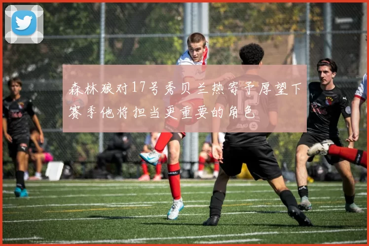 森林狼对17号秀贝兰热寄予厚望下赛季他将担当更重要的角色